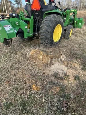 Bump and Grind Stump Removal