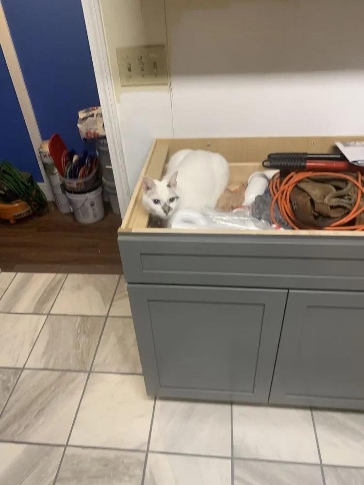 Top-rated outdoor landscaping in Cartersville, GA - Bunce’s Handyman & Outdoor Services