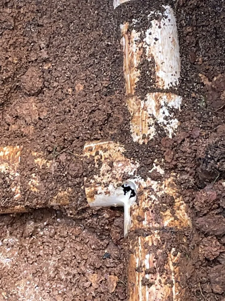 Top-rated lawn care service in Cartersville, GA - Bunce’s Handyman & Outdoor Services