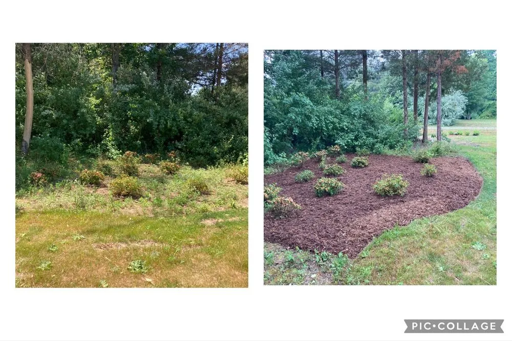 Trusted landscape design in Warsaw, VA - Bunchs landscaping