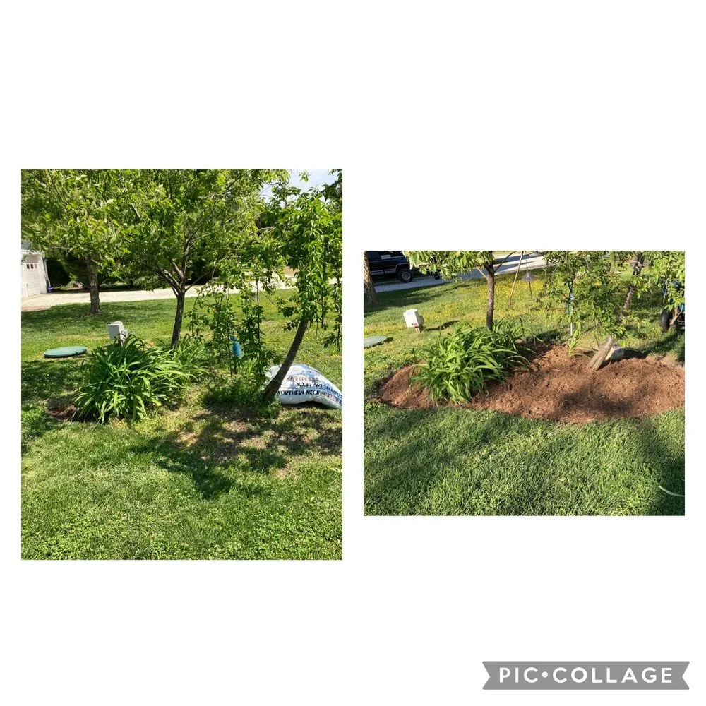 Trusted lawn care service experts serving Warsaw, VA - Bunchs landscaping