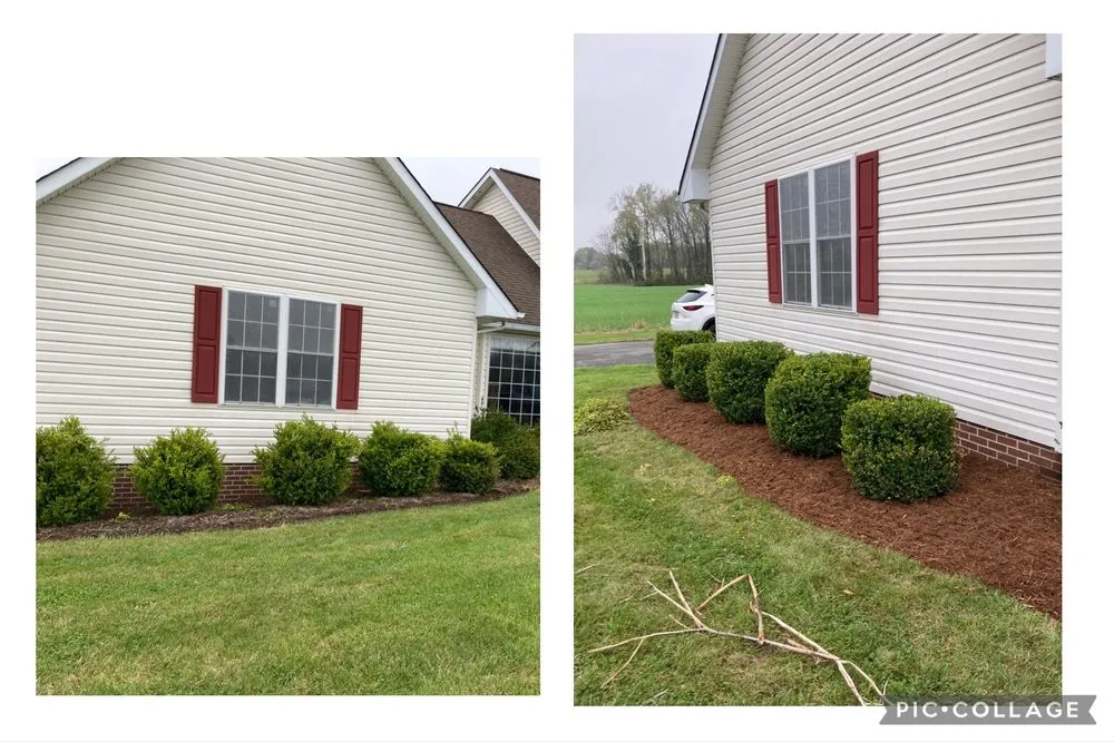 Trusted yard cleanup service in Warsaw, VA by Bunchs landscaping