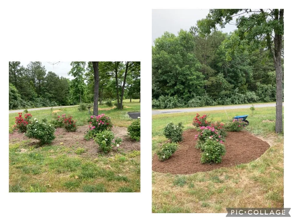Custom yard cleanup service for residential properties in Warsaw, VA by Bunchs landscaping