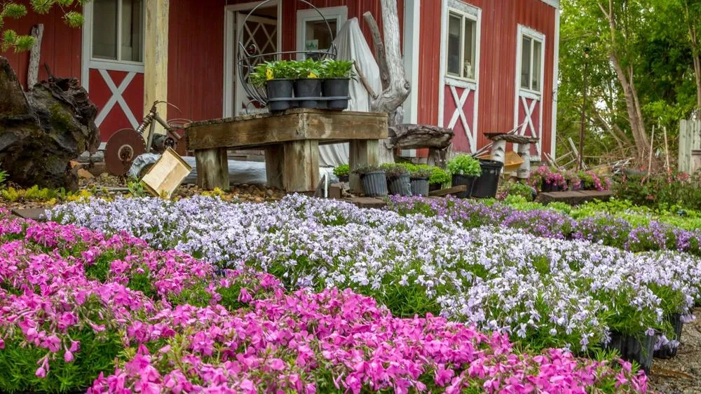 Trusted lawn care service near you across Burton, MI - Bundschuh Landscape Center