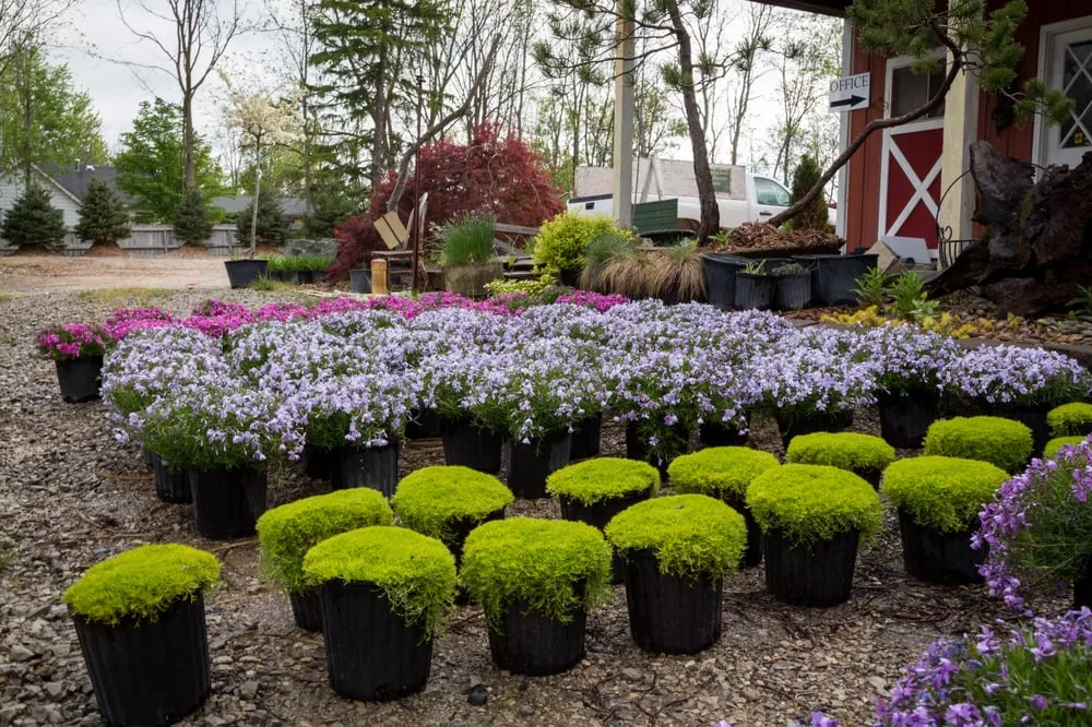 Professional outdoor landscaping for outdoor upgrades in Burton, MI by Bundschuh Landscape Center