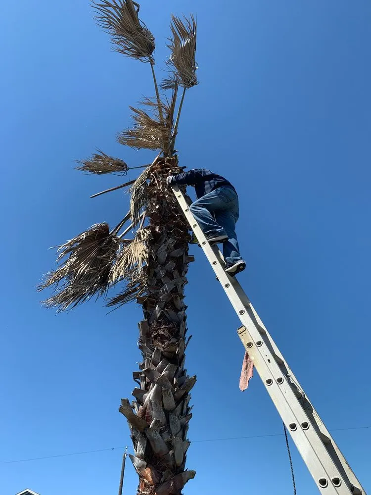 Local landscape design with custom design across Salisbury, MD - Bunky’s Weed Away Lawn Care