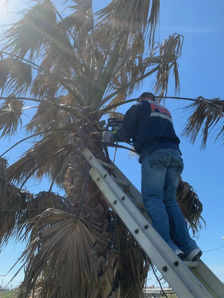Trusted landscape installation for year-round maintenance in Salisbury, MD by Bunky’s Weed Away Lawn Care