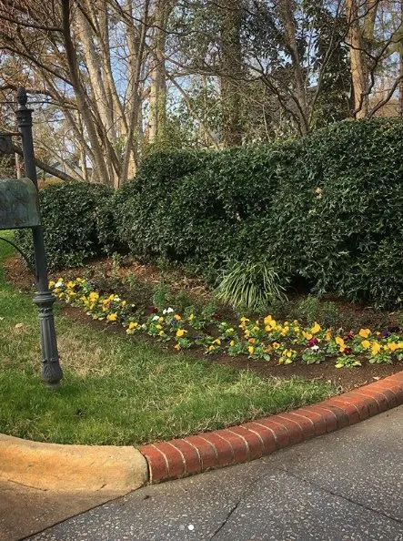 Reliable residential landscaping for residential properties in Raleigh, NC by Bunn Landscaping Services