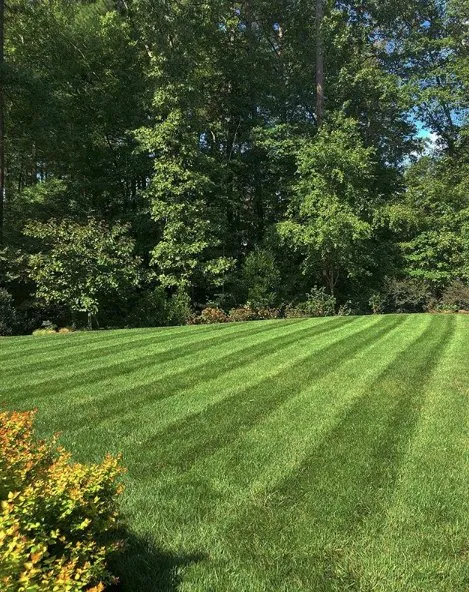 Trusted lawn care service experts serving Raleigh, NC - Bunn Landscaping Services