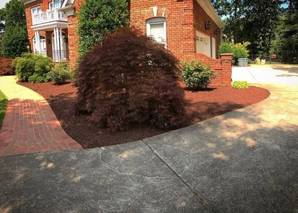 Top-rated landscape design in Raleigh, NC by Bunn Landscaping Services