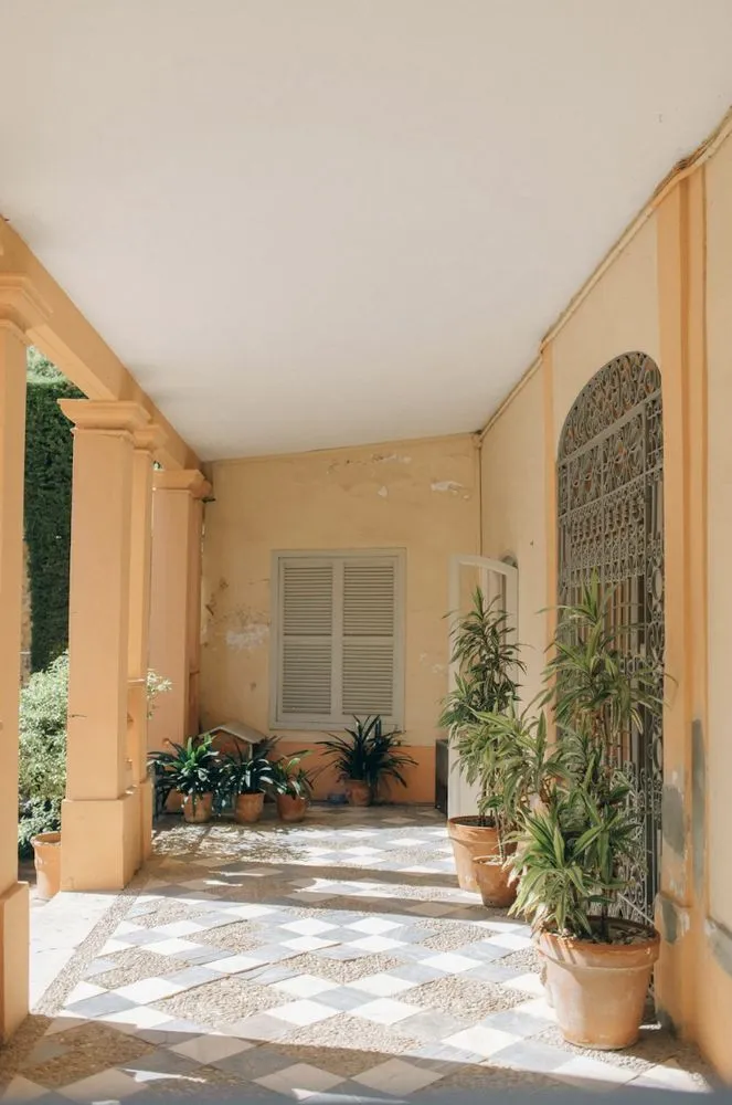 Professional lawn care service for beautiful yards across Orlando, FL - Bunny Care Services