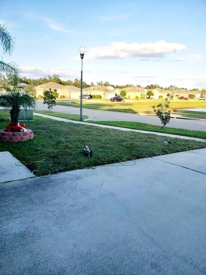 Trusted yard cleanup service in Orlando, FL - Bunny Care Special Services