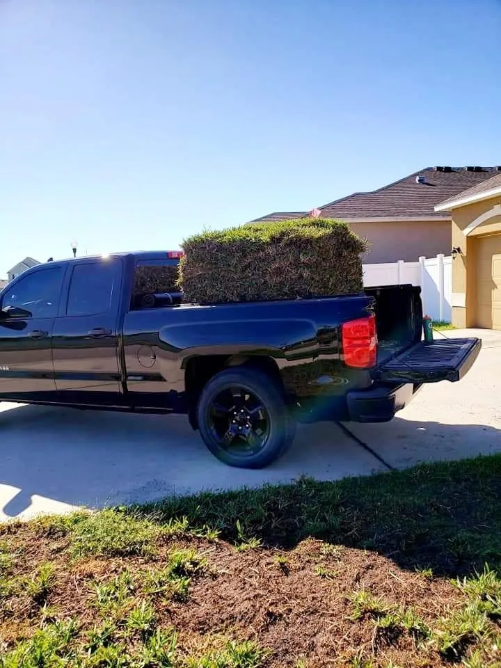 Professional lawn care service experts serving Orlando, FL - Bunny Care Special Services