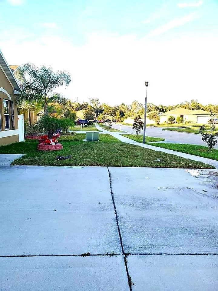 Custom residential landscaping experts serving Orlando, FL - Bunny Care Special Services