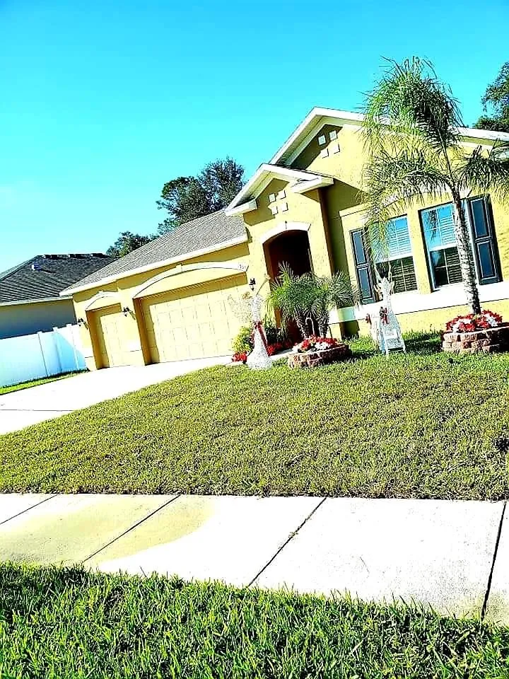 Trusted landscaping services experts serving Orlando, FL - Bunny Care Special Services