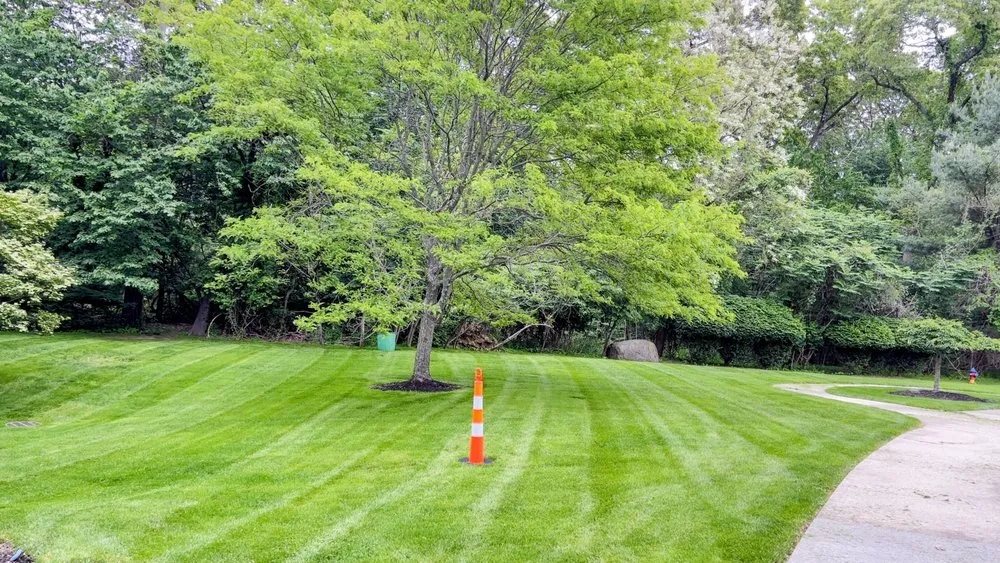 Trusted landscape installation in Selden, NY - Bunny Grass Landscaping