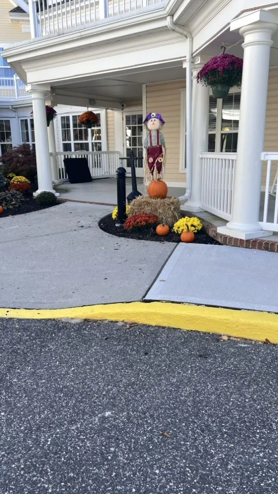 Professional landscape design for homes across Selden, NY - Bunny Grass Landscaping