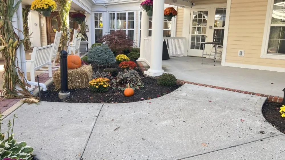 Expert yard cleanup service in Selden, NY - Bunny Grass Landscaping