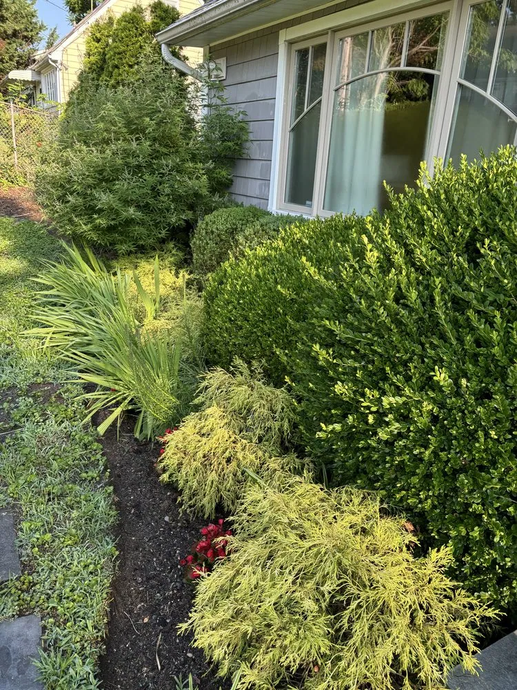 Affordable landscape design in White Plains, NY - Bunny Landscaping & Construction