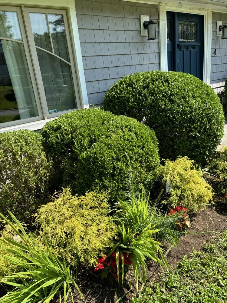 Top-rated lawn care service for homes across White Plains, NY - Bunny Landscaping & Construction