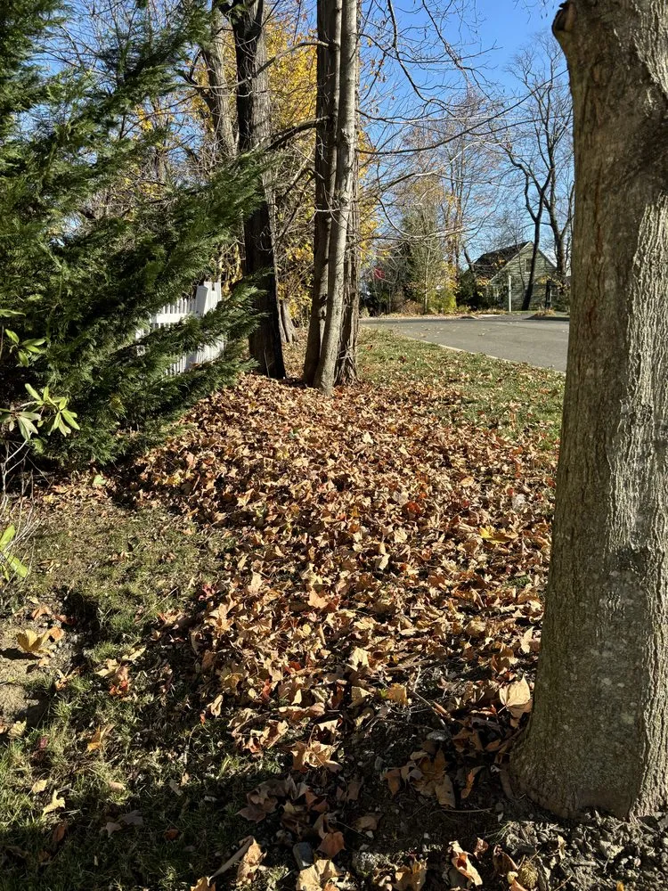 Custom yard maintenance experts serving White Plains, NY - Bunny Landscaping & Construction