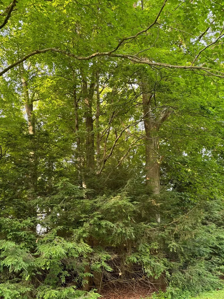 Reliable landscape design experts serving White Plains, NY - Bunny Landscaping & Construction