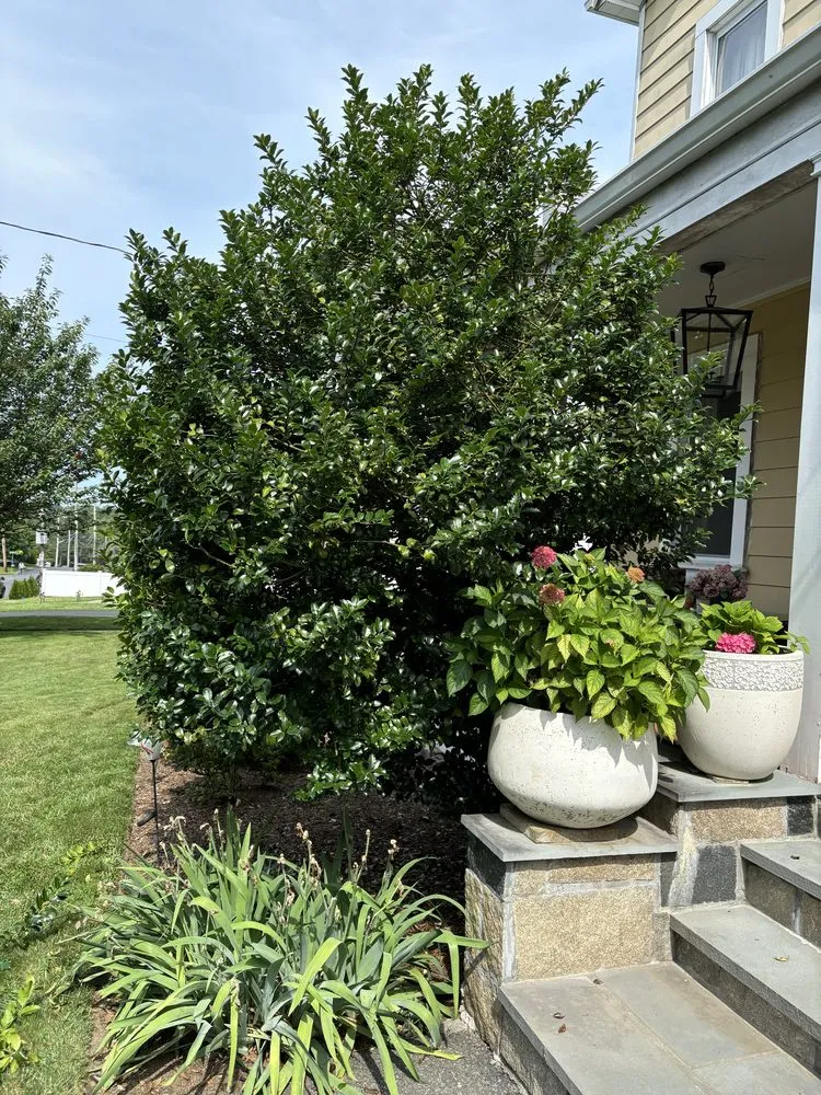 Local landscape installation in White Plains, NY by Bunny Landscaping & Construction