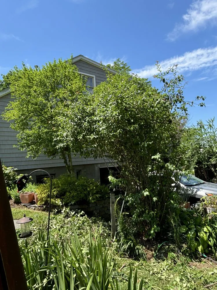 Expert garden landscaping for homes across White Plains, NY - Bunny Landscaping & Construction