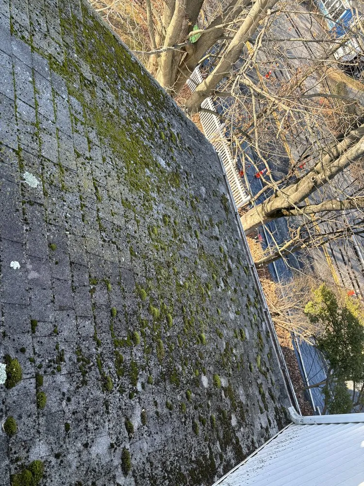 Custom landscape installation for homes in White Plains, NY by Bunny Landscaping & Construction