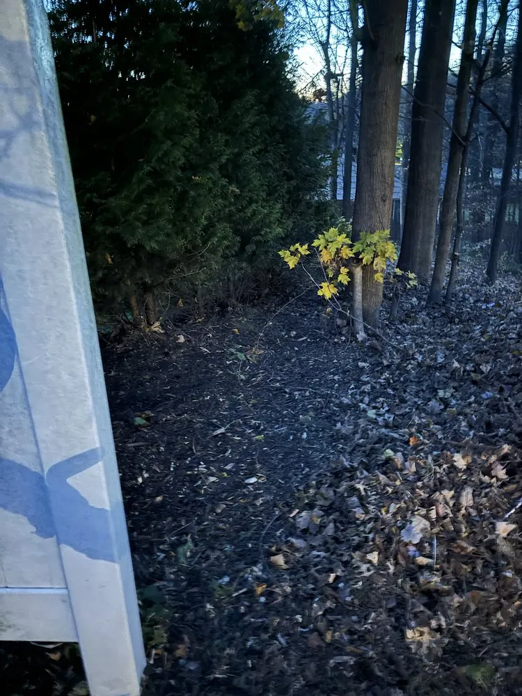 Top-rated lawn care service for year-round maintenance across White Plains, NY - Bunny Landscaping & Construction