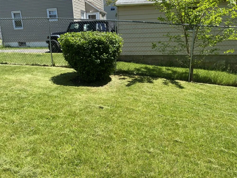 Professional landscaping services experts serving Hartford, CT - Bunsielawncare