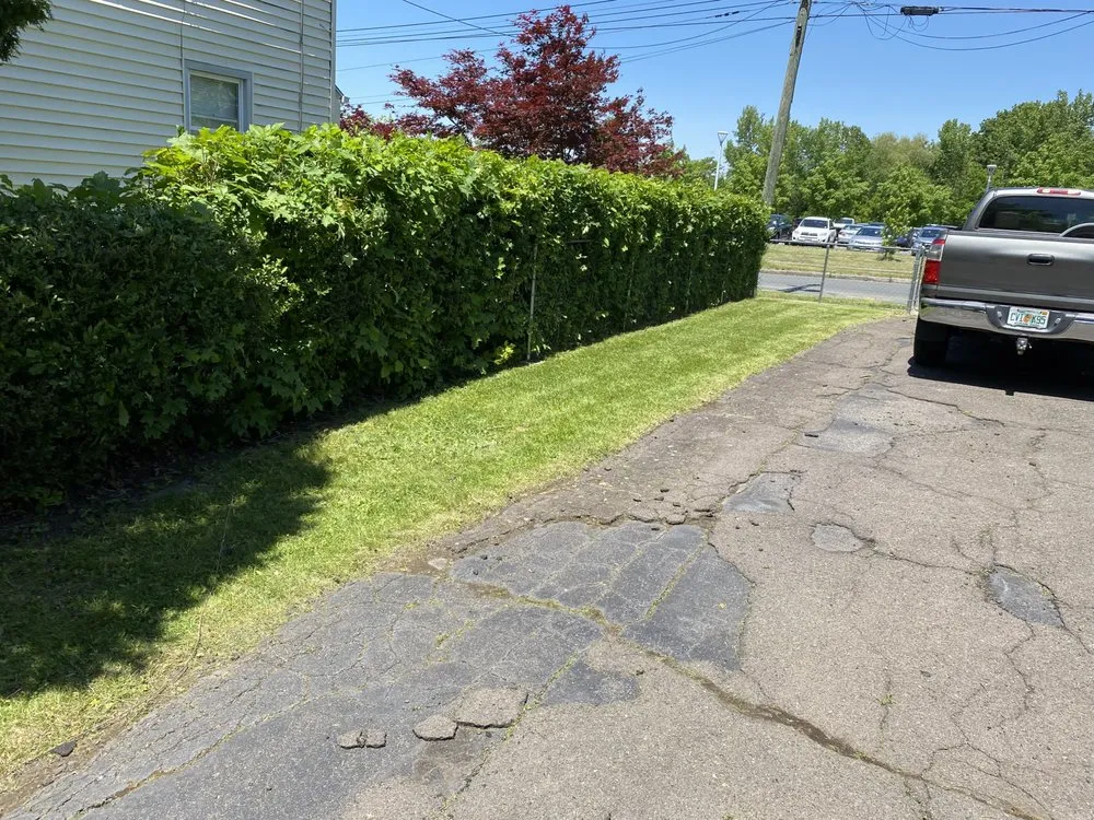 Reliable lawn care service in Hartford, CT by Bunsielawncare