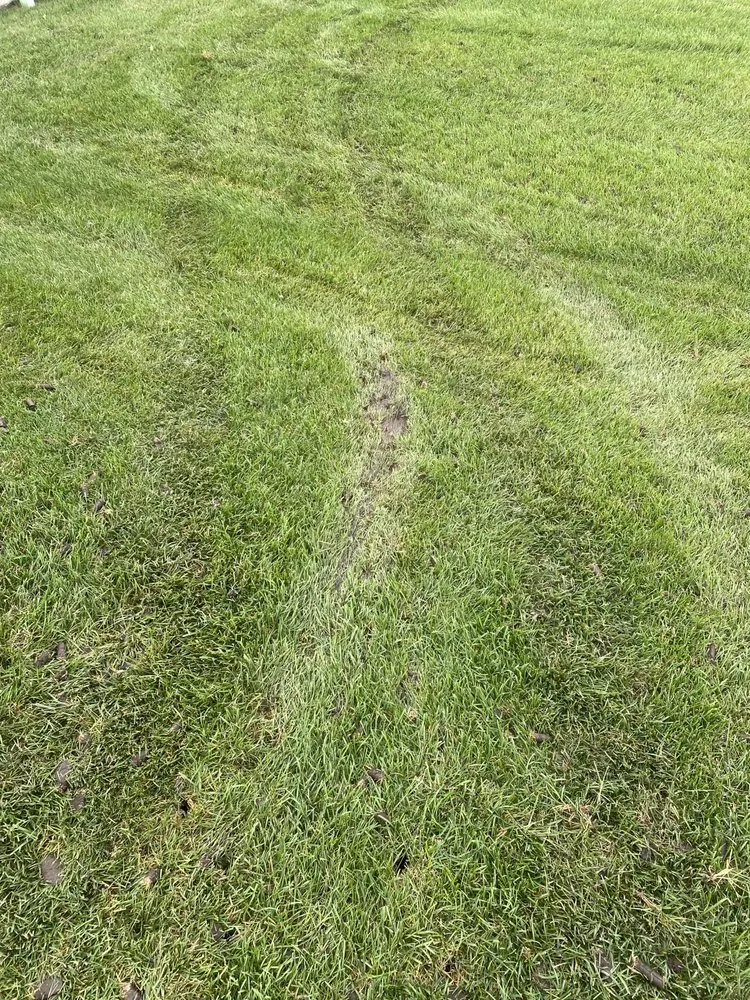 Reliable residential landscaping experts serving Maple Park, IL - Bur Oak Group