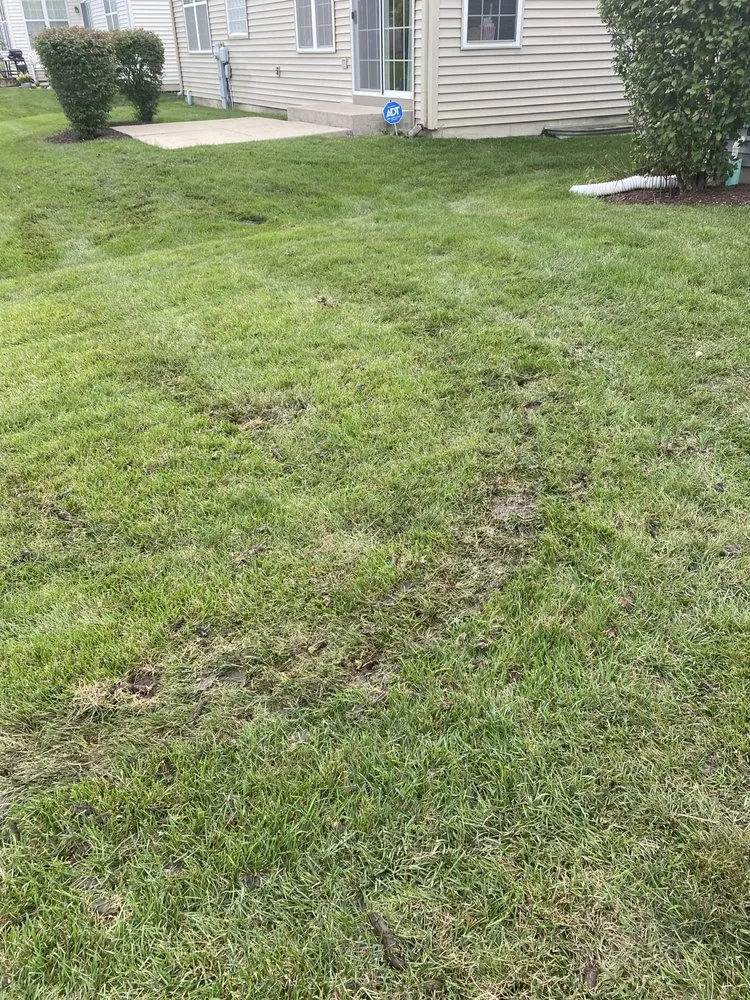 Affordable lawn mowing service near you in Maple Park, IL by Bur Oak Group