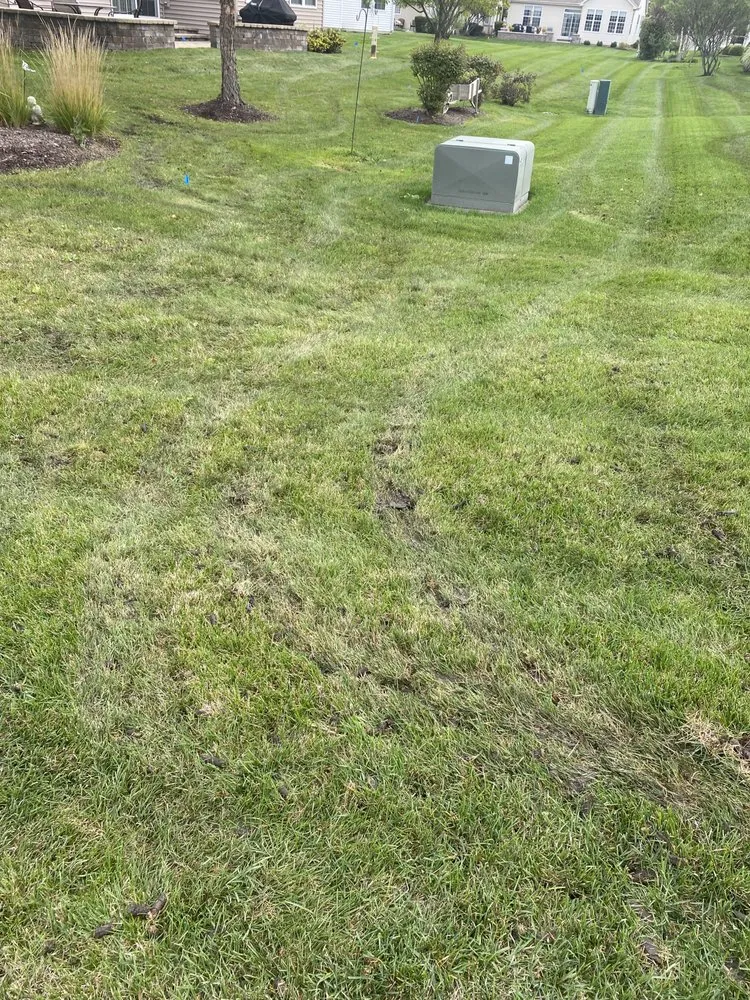 Reliable garden landscaping in Maple Park, IL - Bur Oak Group