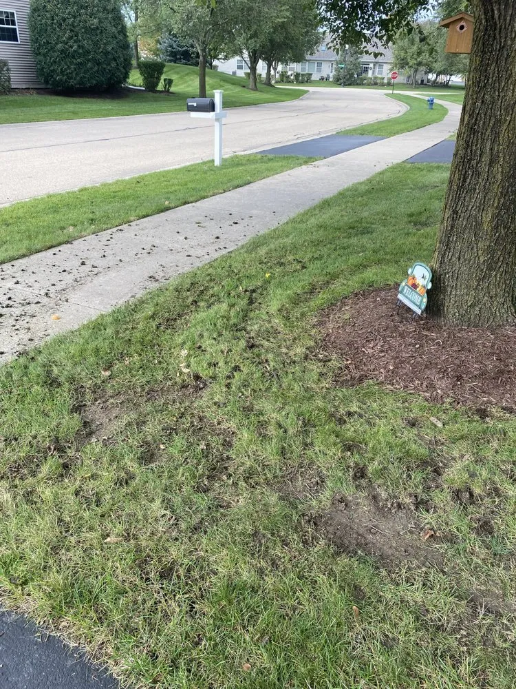 Trusted landscape installation for outdoor upgrades in Maple Park, IL by Bur Oak Group