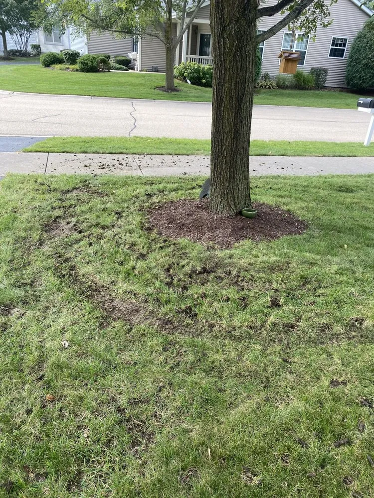 Local outdoor landscaping in Maple Park, IL by Bur Oak Group