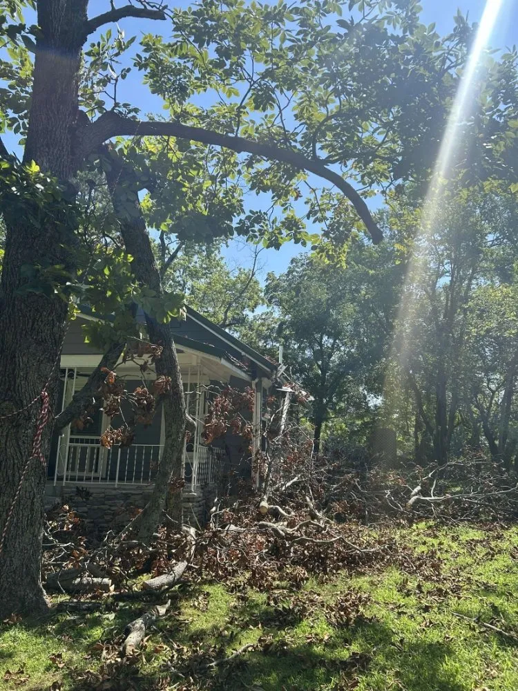 Affordable garden landscaping in Reeds Spring, MO - Burall Tree Service