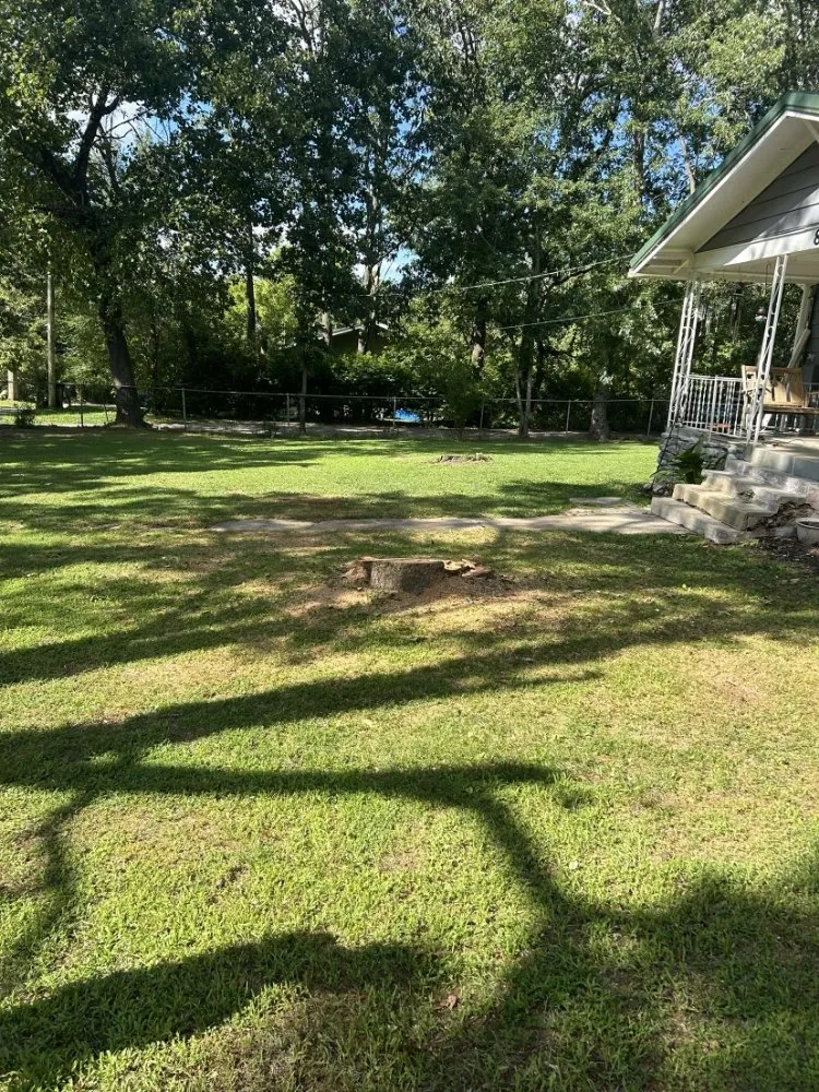 Custom garden landscaping experts serving Reeds Spring, MO - Burall Tree Service