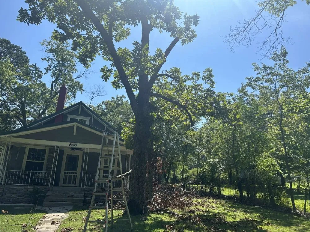 Custom yard cleanup service in Reeds Spring, MO - Burall Tree Service