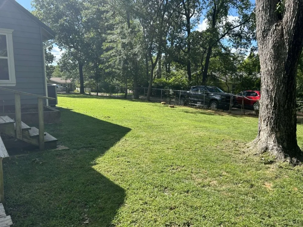 Expert yard cleanup service near you across Reeds Spring, MO - Burall Tree Service