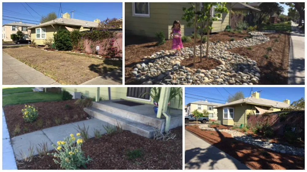 Trusted lawn mowing service in Castro Valley, CA by Burbank Botanical Landscaping