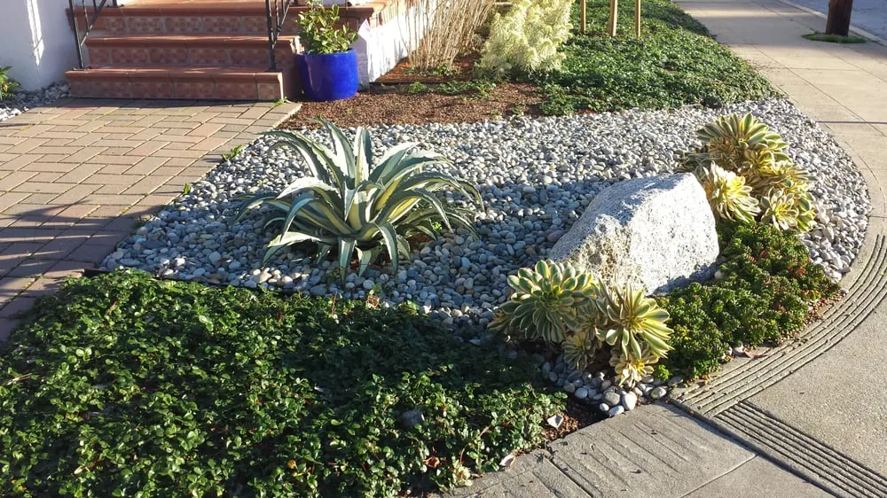 Affordable yard maintenance experts serving Castro Valley, CA - Burbank Botanical Landscaping