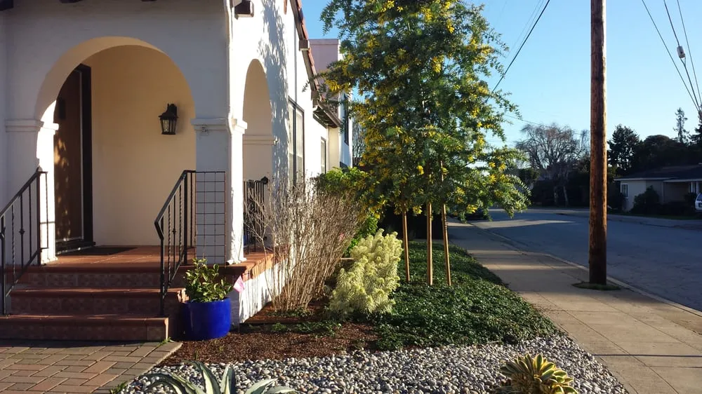 Local garden landscaping for homes across Castro Valley, CA - Burbank Botanical Landscaping