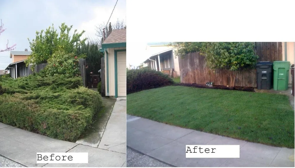 Expert landscape installation in Castro Valley, CA - Burbank Botanical Landscaping