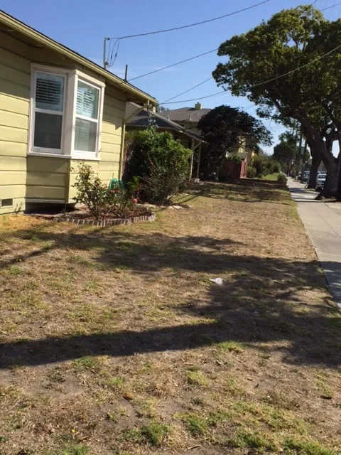 Local residential landscaping experts serving Castro Valley, CA - Burbank Botanical Landscaping