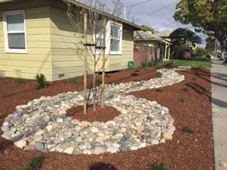 Professional yard maintenance with custom design across Castro Valley, CA - Burbank Botanical Landscaping
