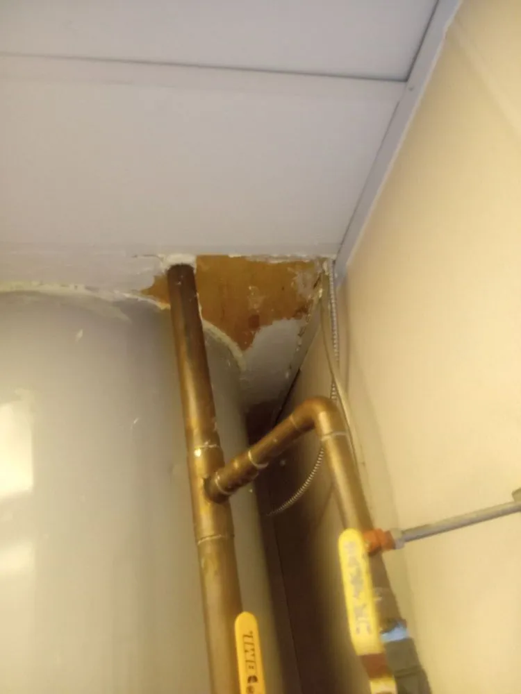 Local lawn care service in Chapel Hill, NC - Burch Improvement