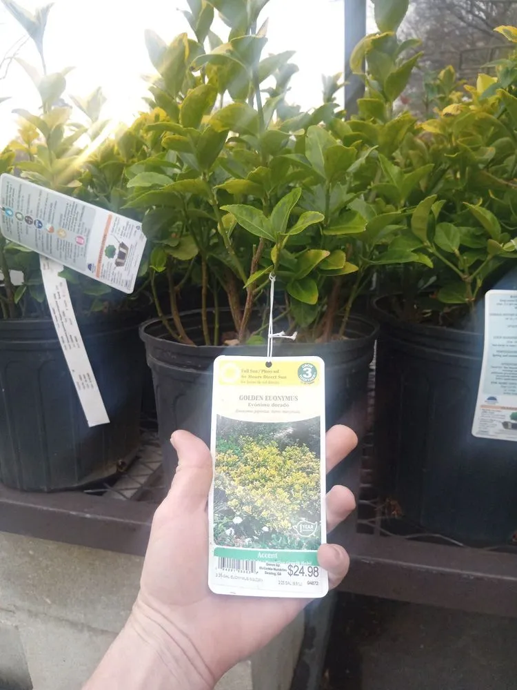 Affordable landscape installation experts serving Chapel Hill, NC - Burch Improvement