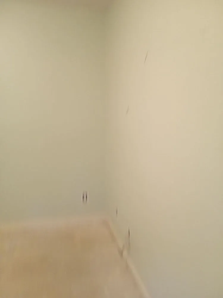 Expert landscaping services experts serving Chapel Hill, NC - Burch Improvement